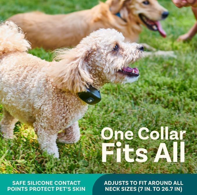 PetCove: collar resistente al agua IPX7 para entrenamiento al aire libre.