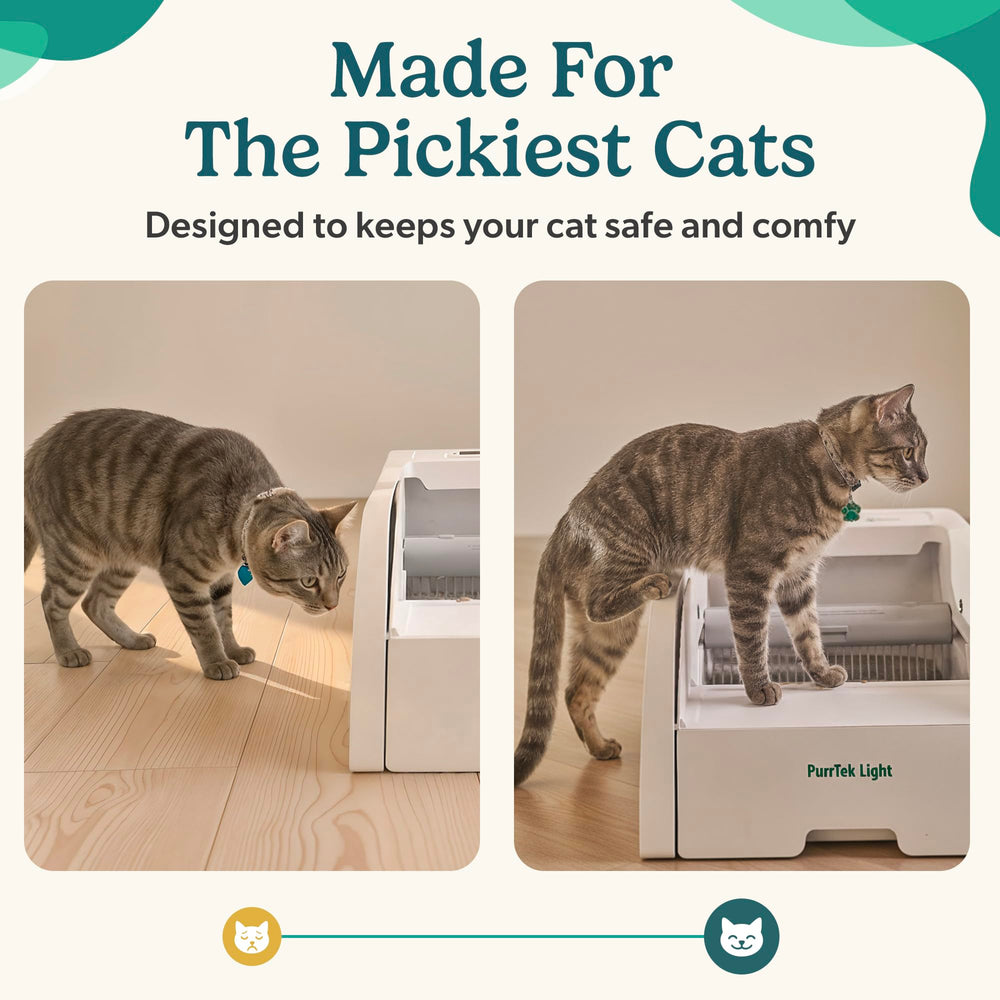 Petcove: calidad fiable y soporte dedicado para cajas automáticas de arena para gatos.