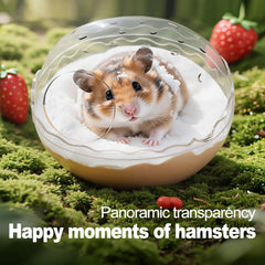PetCzardom hamster-caja-transparente: pared clara para observar juegos y limpieza.