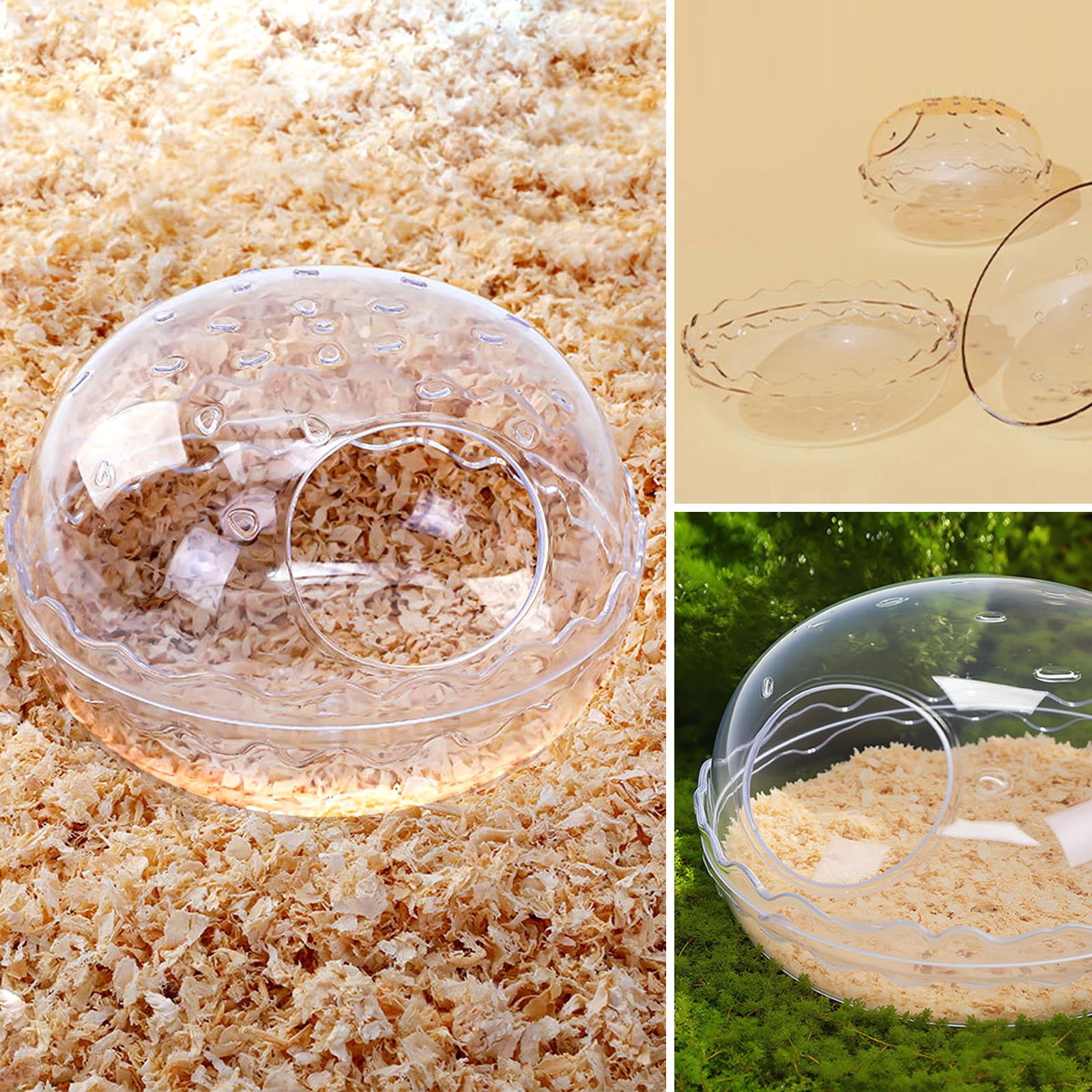 PetCzardom hamster-observacion-panorama: diseño transparente para ver el juego.