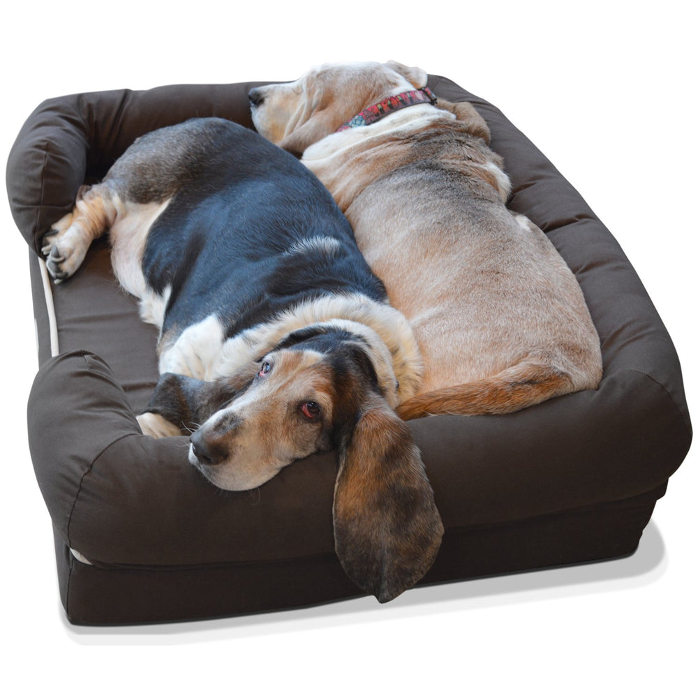 PetFusion Ultimate disponible en tamaños múltiples para perros medianos a grandes