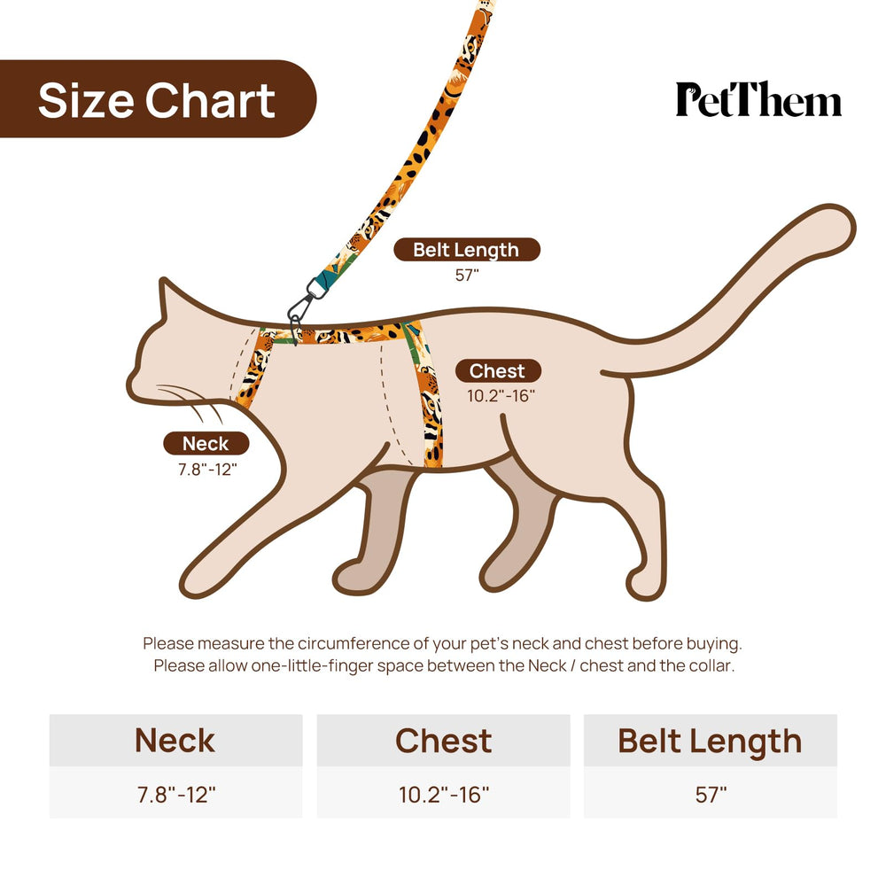 Conjunto PetThem para gato paseo, arnés y correa para caminatas cómodas.