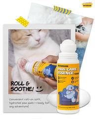 Protección de patitas contra pavimento caliente con PETHROOM.