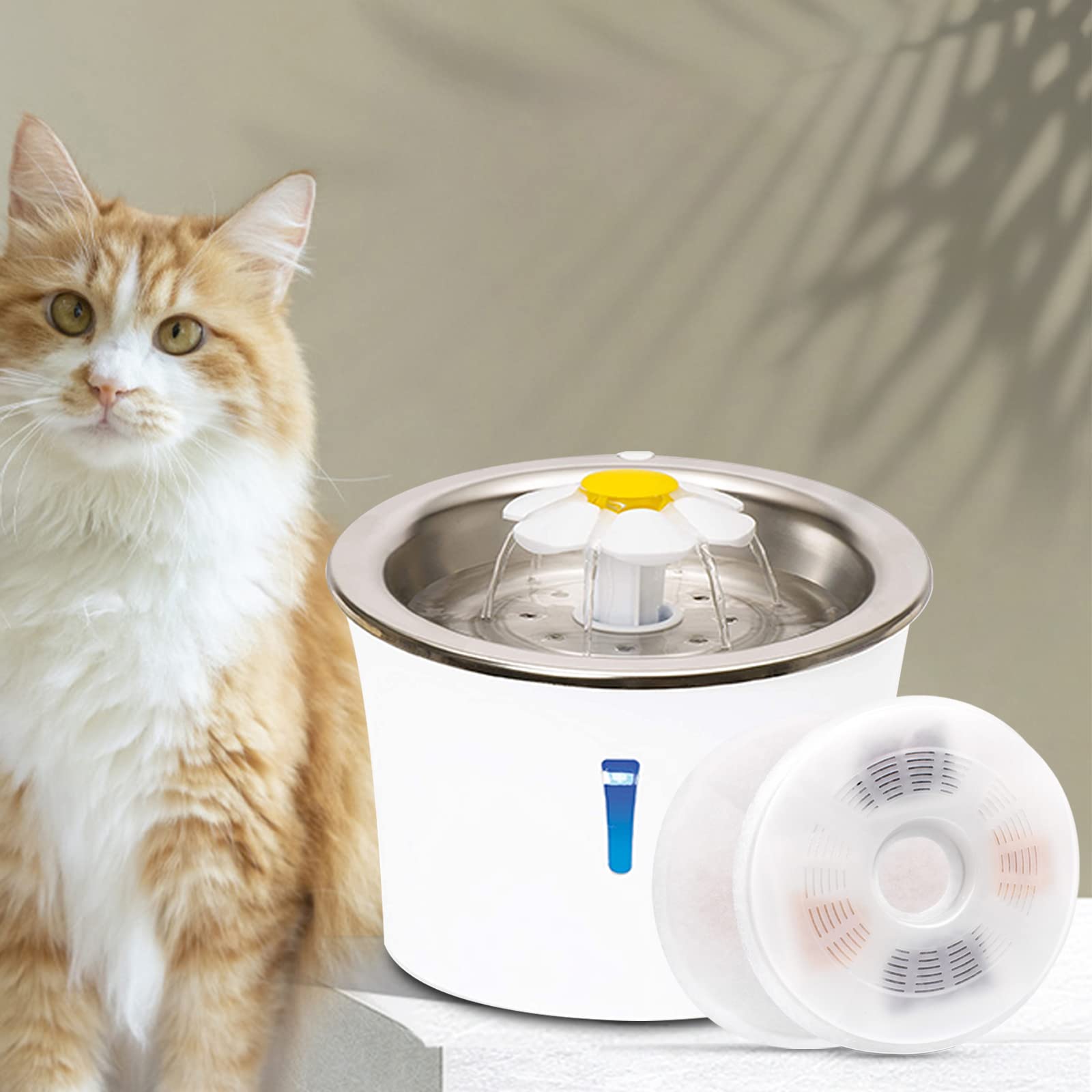 Reemplazo fácil de filtros Petilog para fuente de gatos