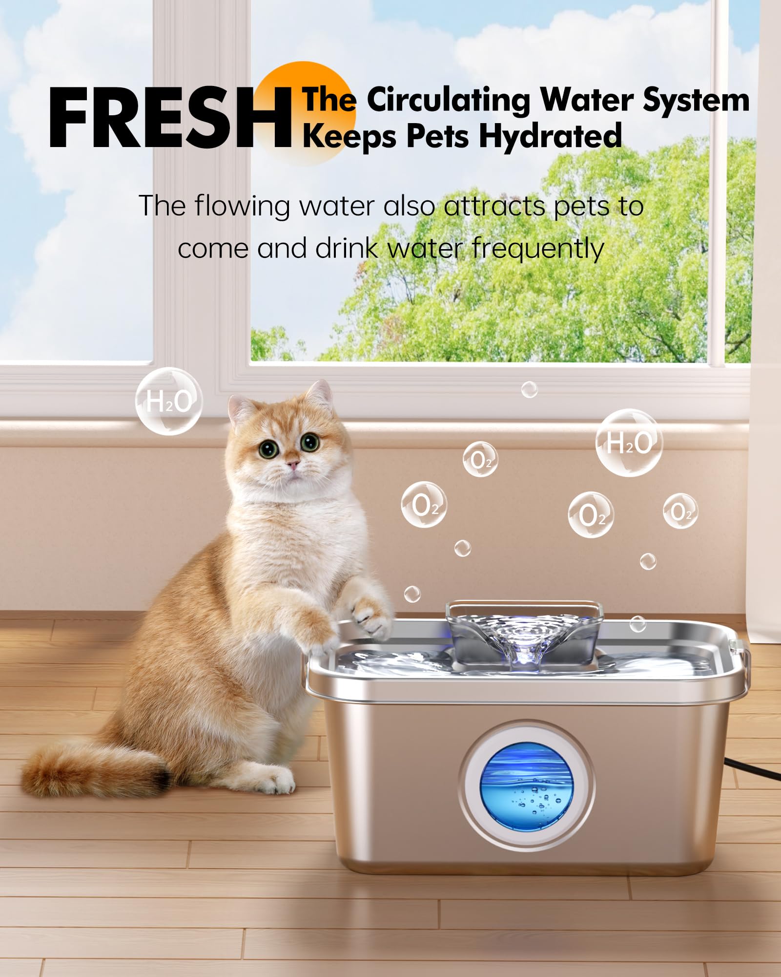PETIMI fuente en uso hogareño, ideal para casa y tranquilidad.
