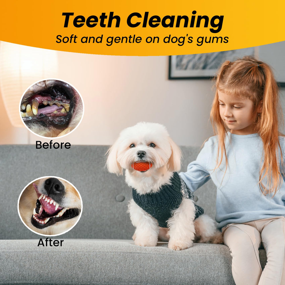 Juego exterior con flotación Petinstinct, ideal para juegos al aire libre.