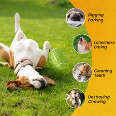 Petinstinct juguete-interactivo que flota, ideal para juegos de agua.
