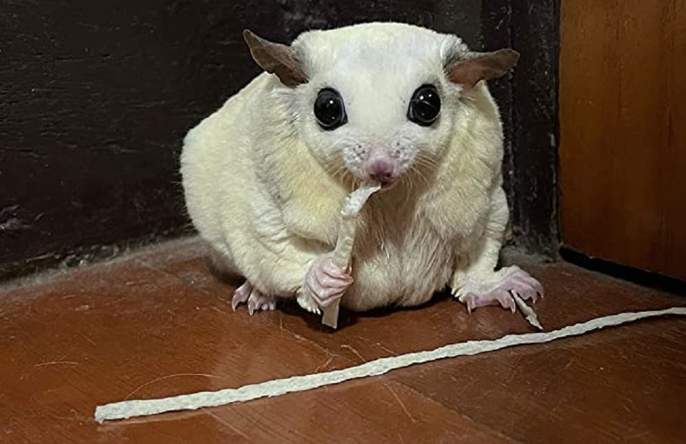 PETIVORE-uso-recompensa-diaria para animales pequeños, fomenta la interacción positiva.