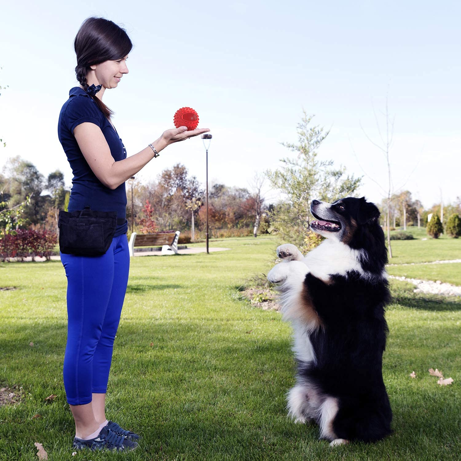 Petizer bola interactiva para perros, promueve juego y ejercicio