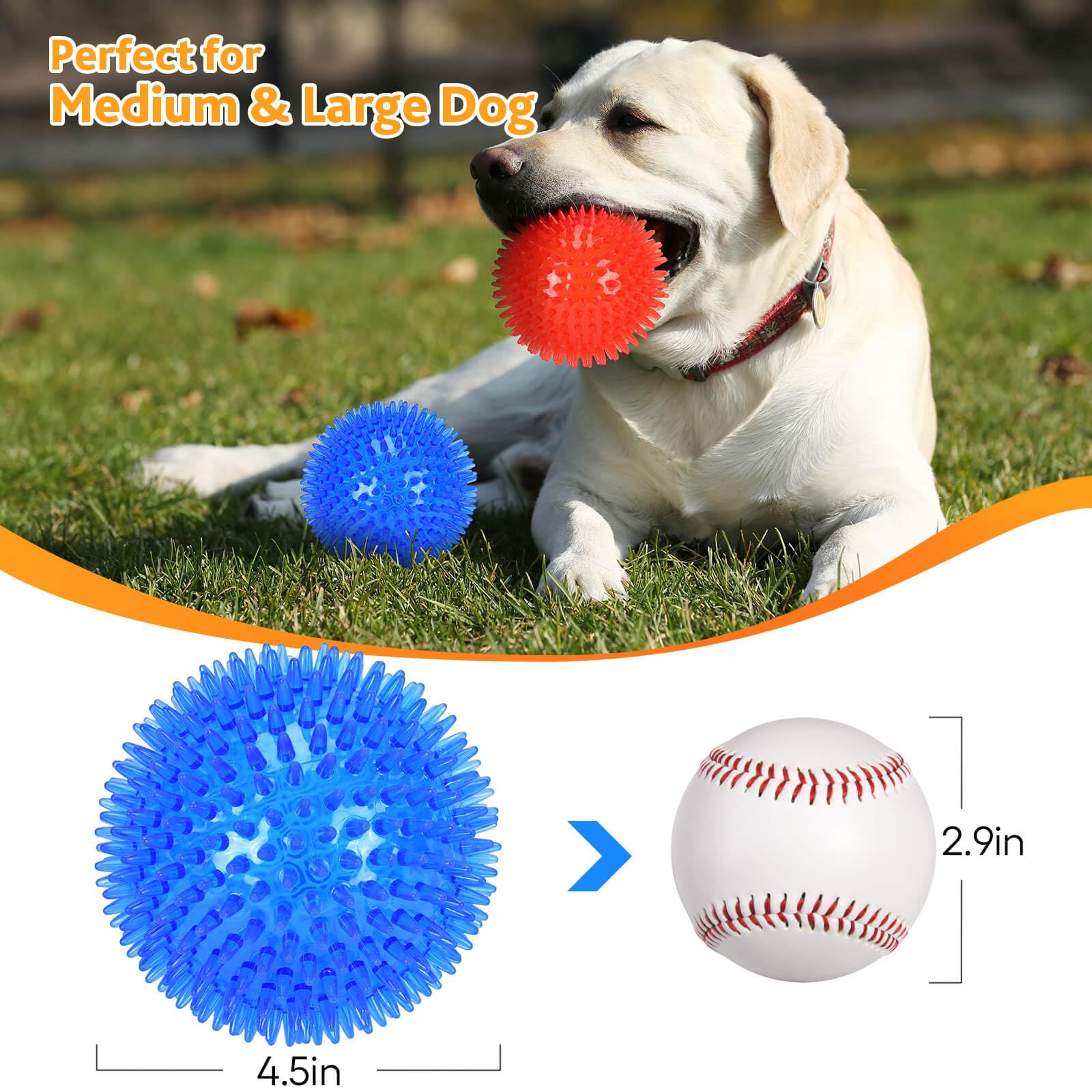 Bola Petizer duradera con espigas, diseñada para juego intenso