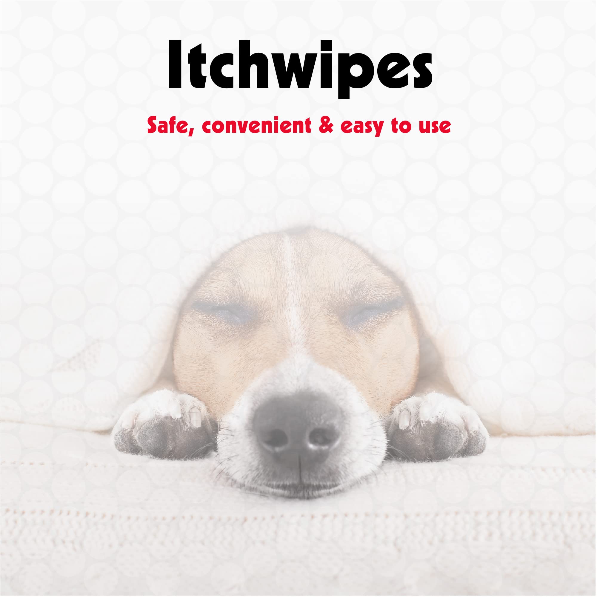 Petkin Anti Itch Wipes: una toallita lista para calmar irritaciones superficiales