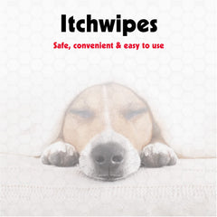 Petkin Anti Itch Wipes: una toallita lista para calmar irritaciones superficiales