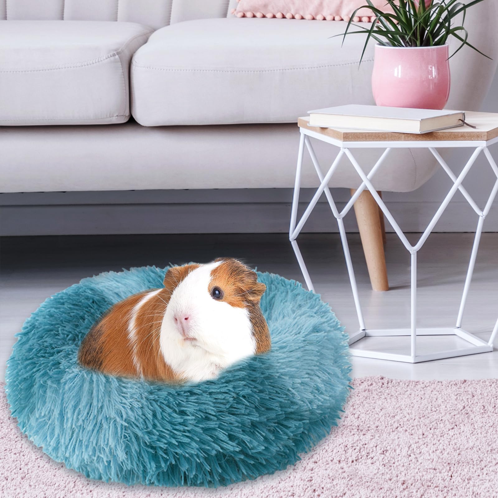 PETKNOWS cojín interior grueso, mantiene la forma tras limpiezas.