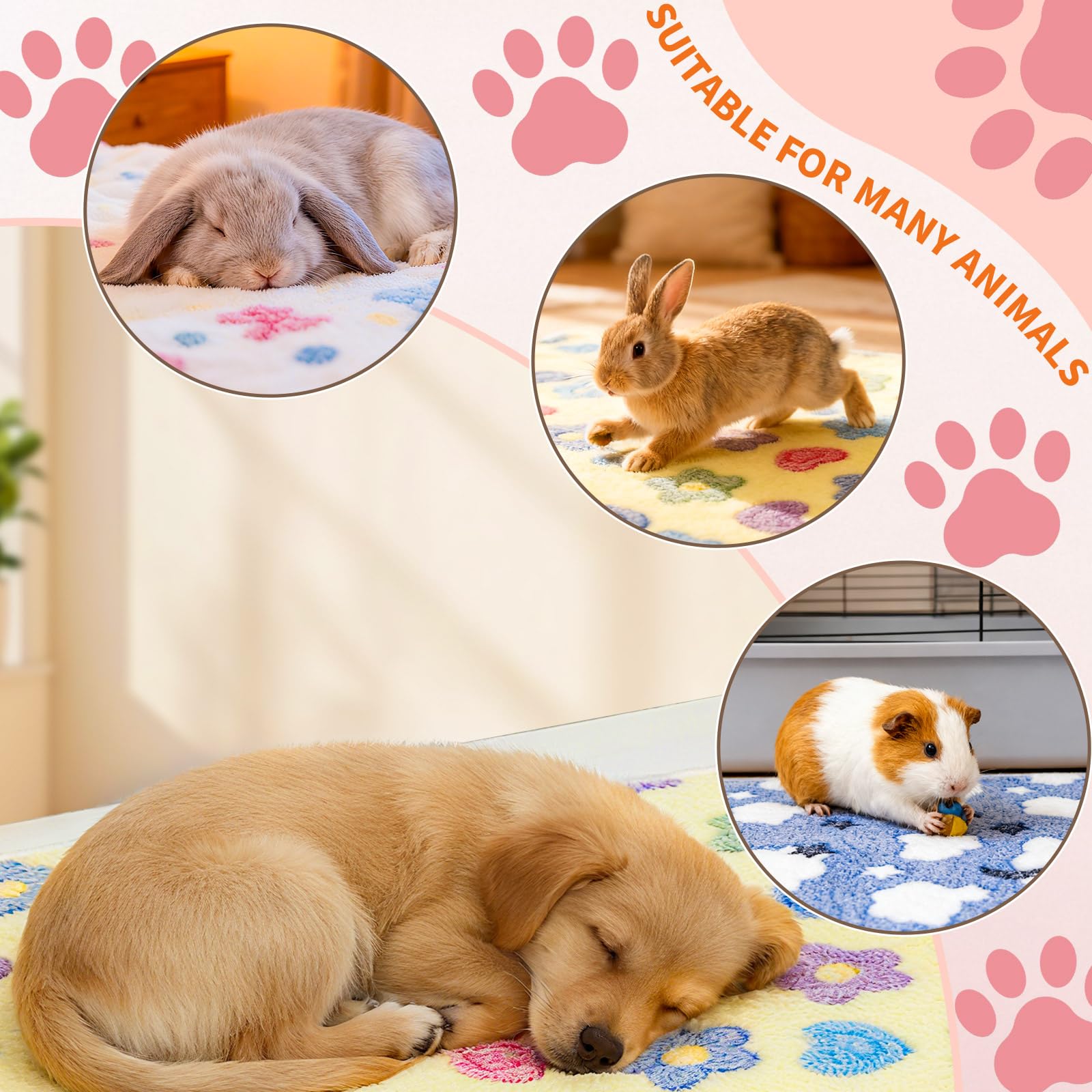 PETKNOWS manta de 20x20 cm para cobayas, tamaño compacto.