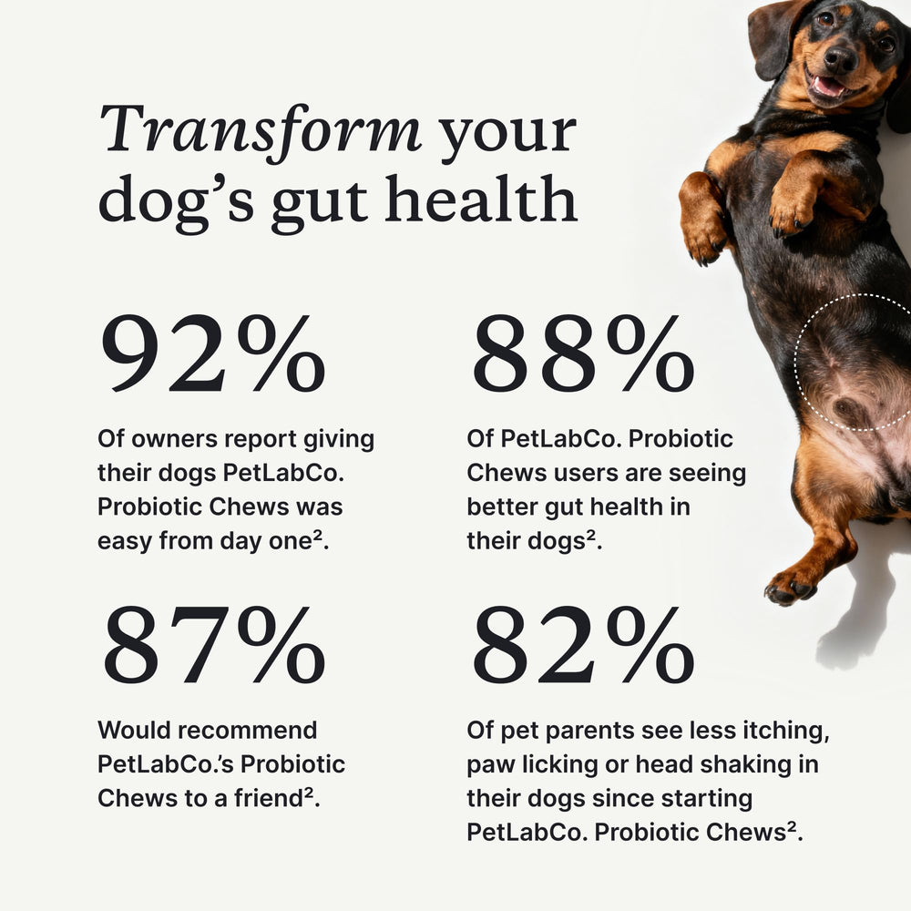 PetLab Co probióticos para perros, prebióticos y fibra para apoyo digestivo
