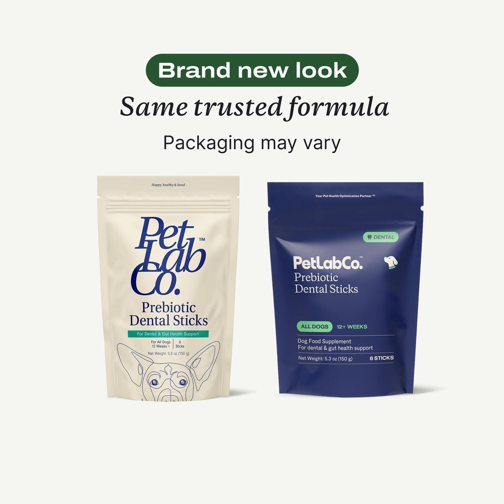 PetLab Co offre une haleine fraîche grâce à ces bâtonnets dentaires savoureux.