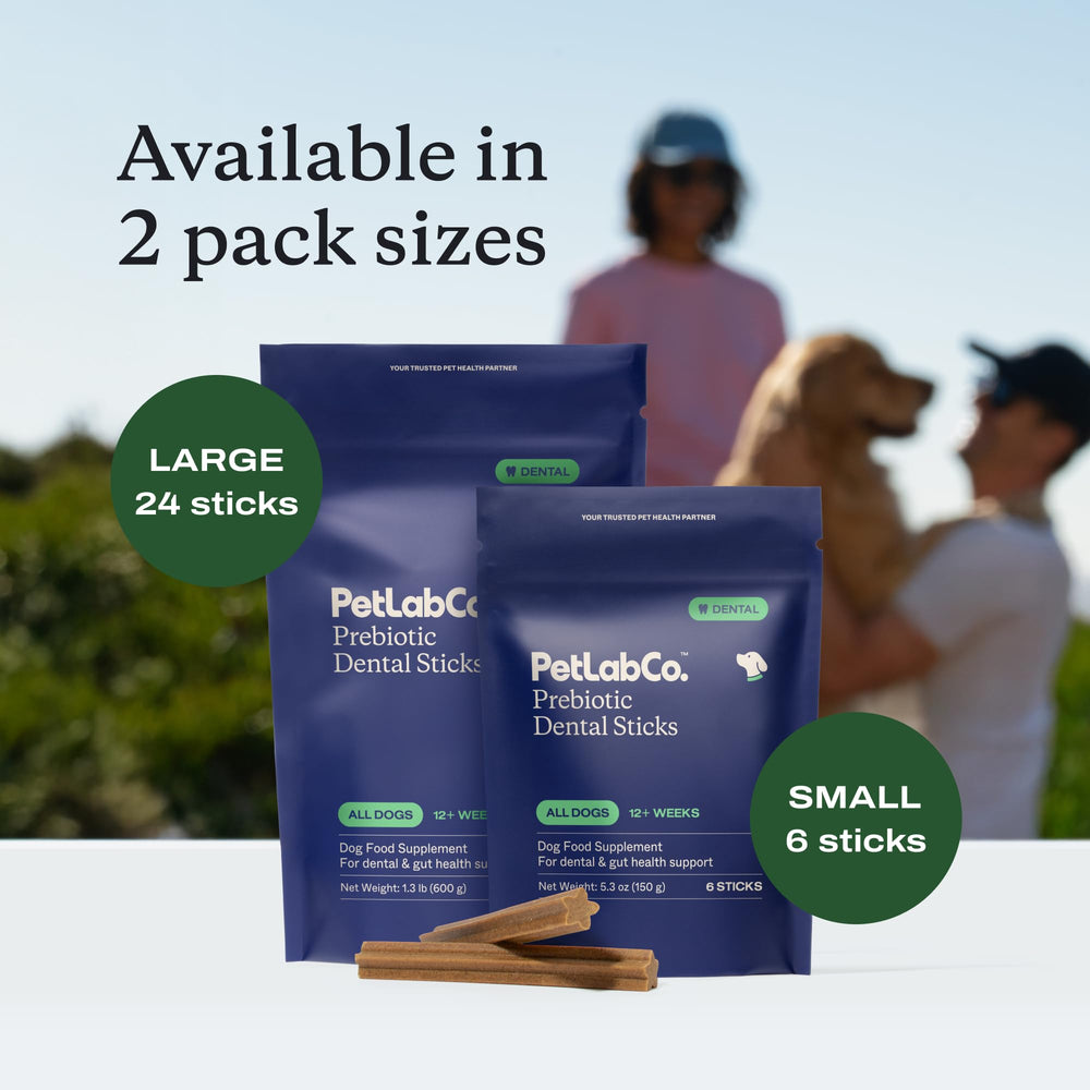 L’abonnement PetLab Co permet de maintenir une routine simple et régulière.