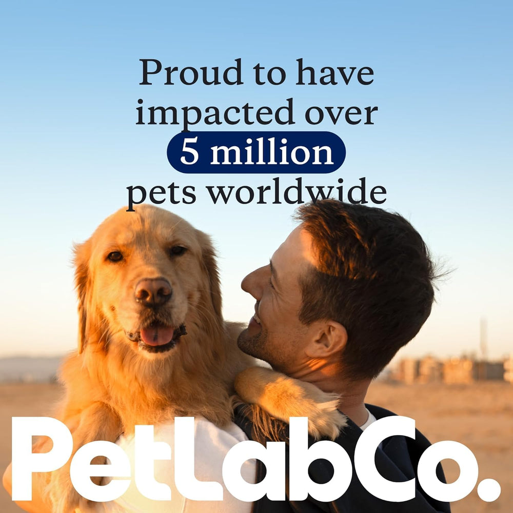 Bâtonnets dentaires PetLab Co, l’option premium pour les chiens.