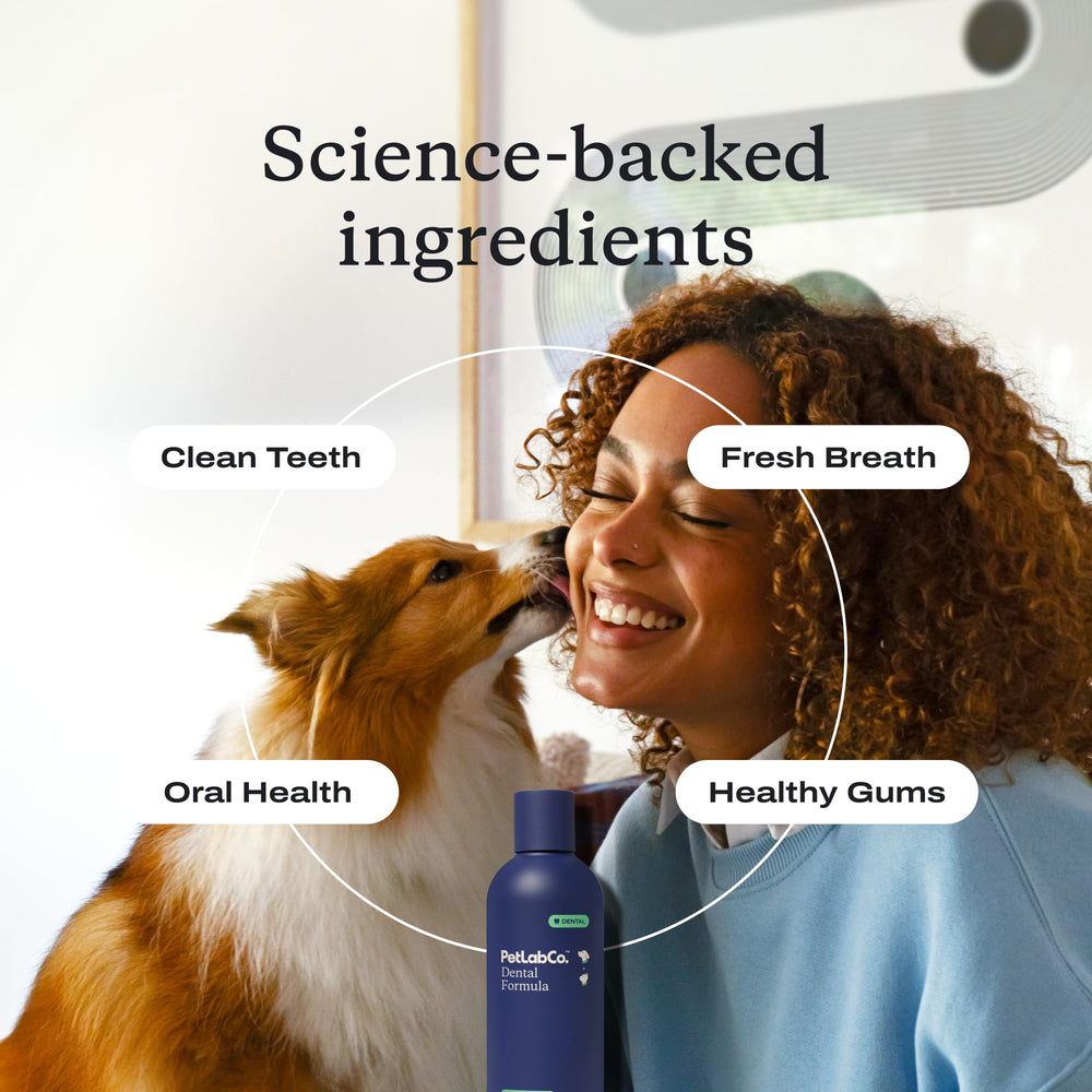 PetLab Co botella de aditivo dental para agua facilita el cuidado oral