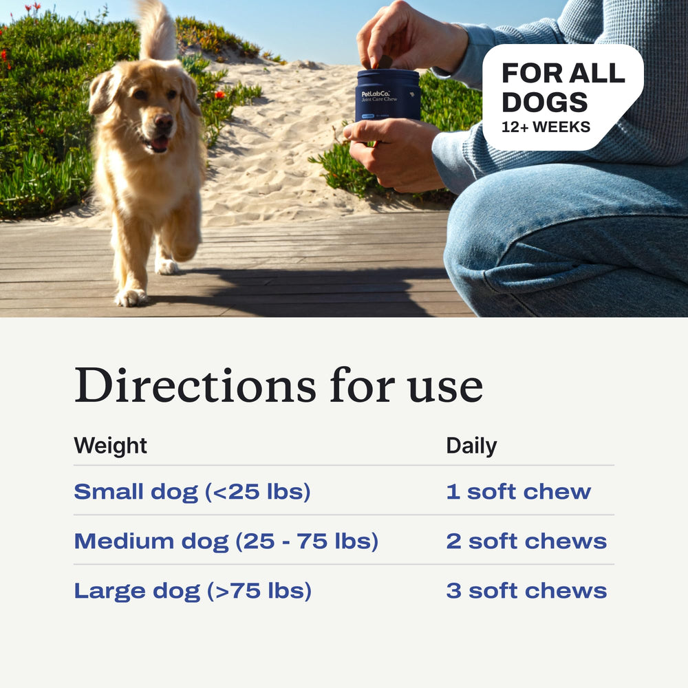 PetLab Co empaque variable: presentación adaptable para tu perro