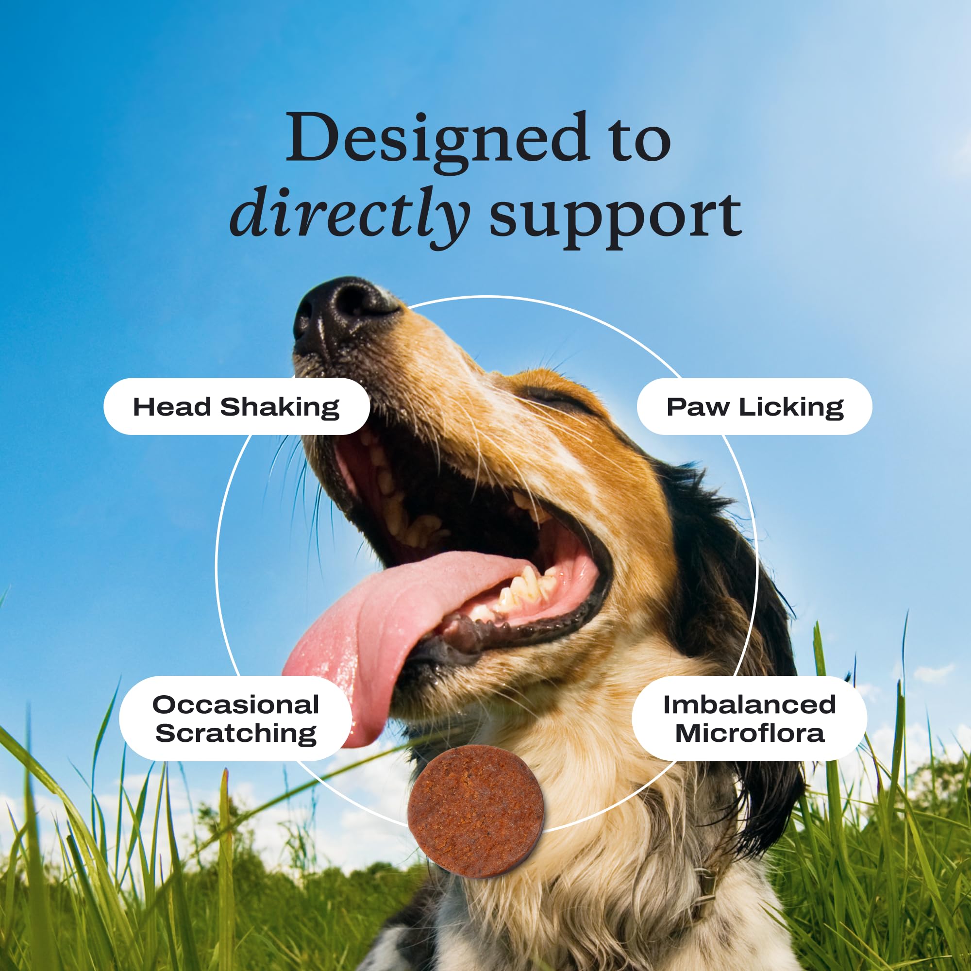 Ingredientes clave de PetLab Co. probióticos para perros: prebióticos y postbióticos.