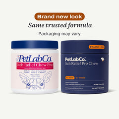 PetLab Co Itch Relief Chew Pro: masticables en manos, muestra la textura y tamaño de la porción.