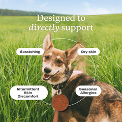 PetLab Co Itch Relief Chew Pro enfocado en salud de la piel y pelaje.