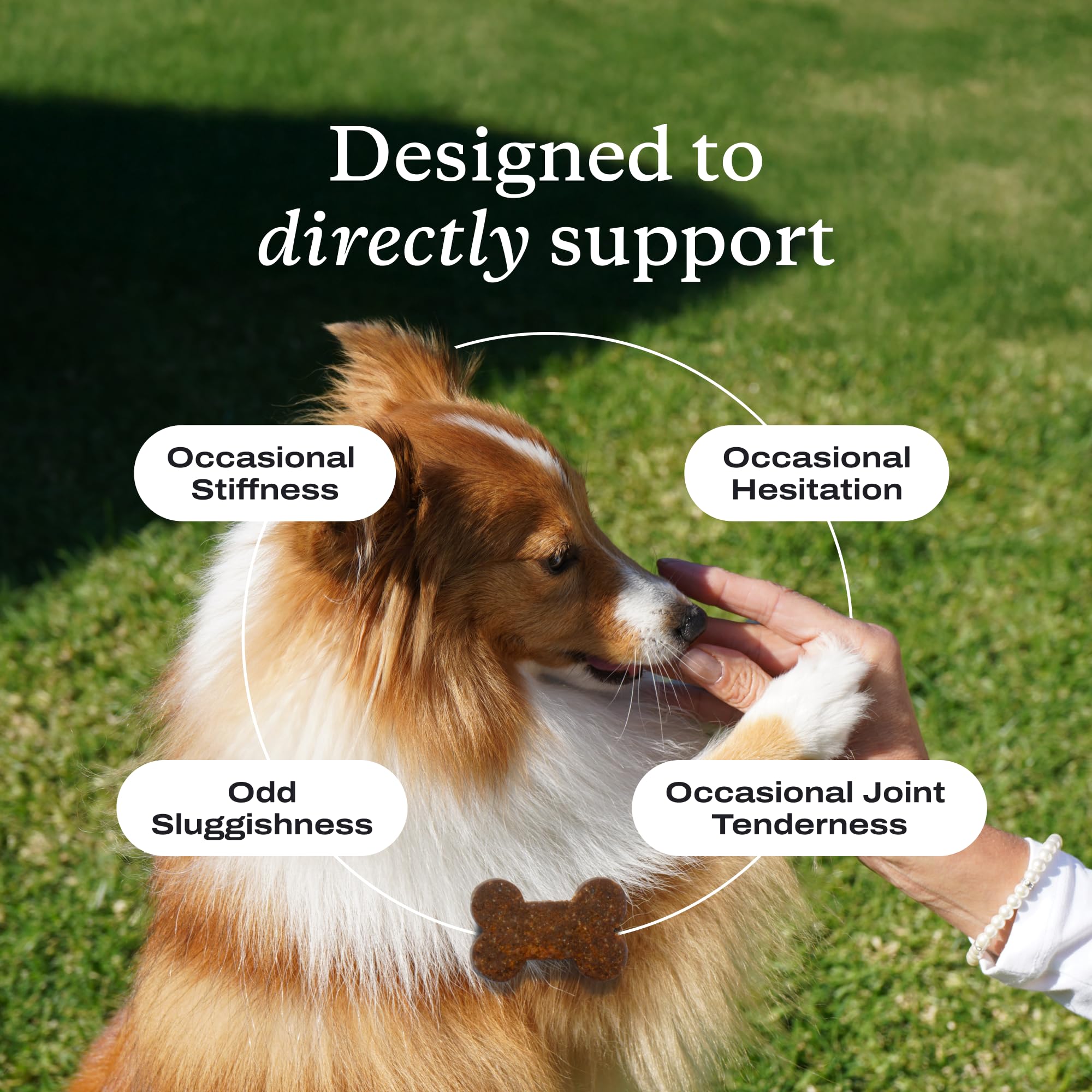PetLab Co Omega 3 para perros: apoyo para piel y articulaciones