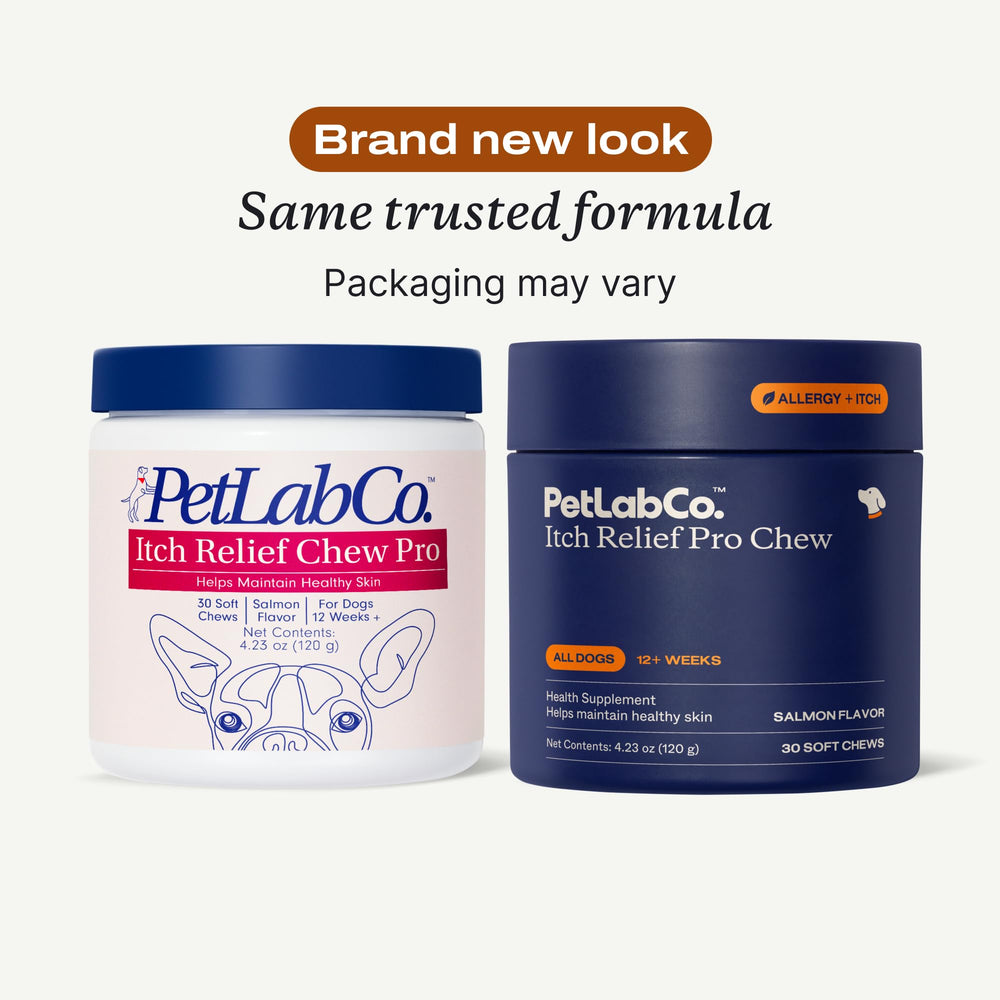 PetLab Co. Omega-3 salmón, ingrediente clave para piel sana y pelaje brillante.