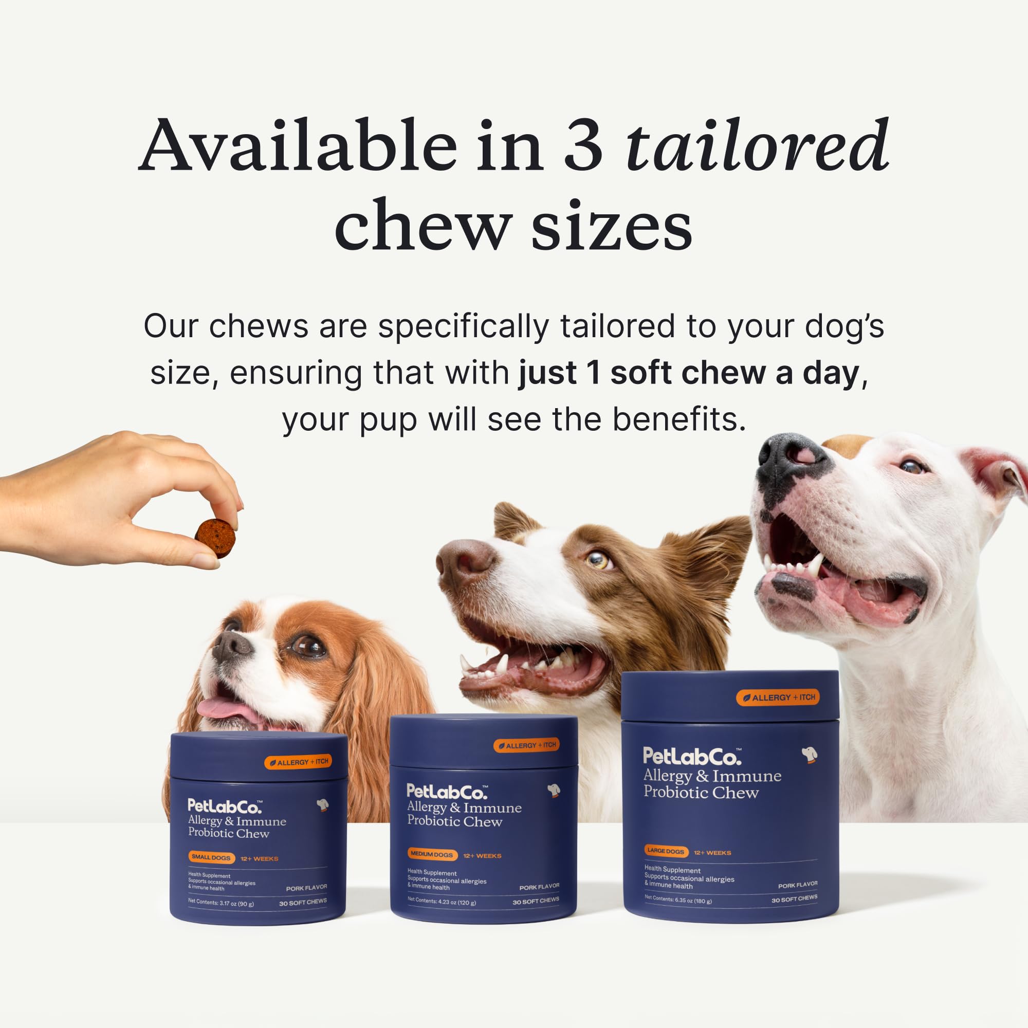 Perro disfruta del masticable diario de PetLab Co.