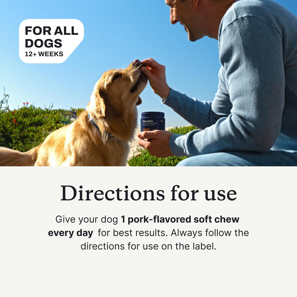 PetLab Co. probióticos para perros, uso diario recomendado para grandes.
