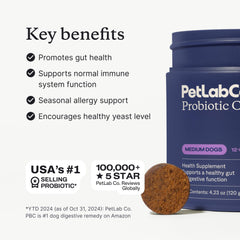 Perro comiendo masticables de PetLab Co, sabor cerdo, experiencia de consumo.