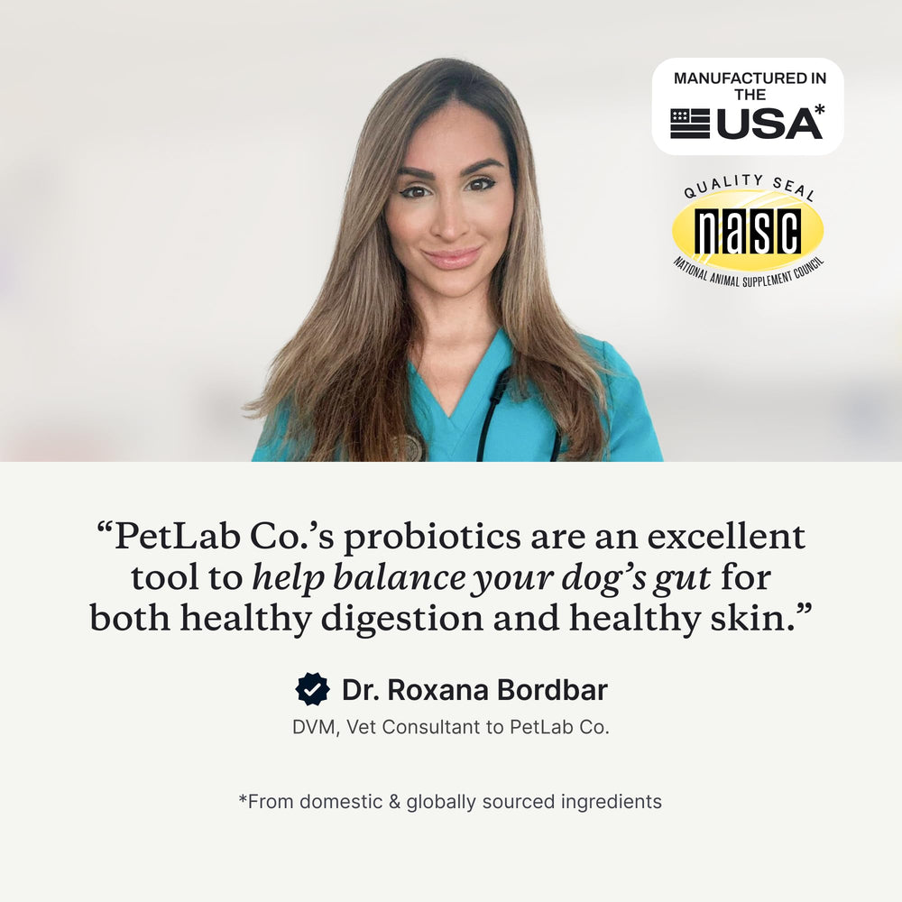 PetLab Co Probióticos para perros, masticables sabor cerdo, vista trasera del empaque.