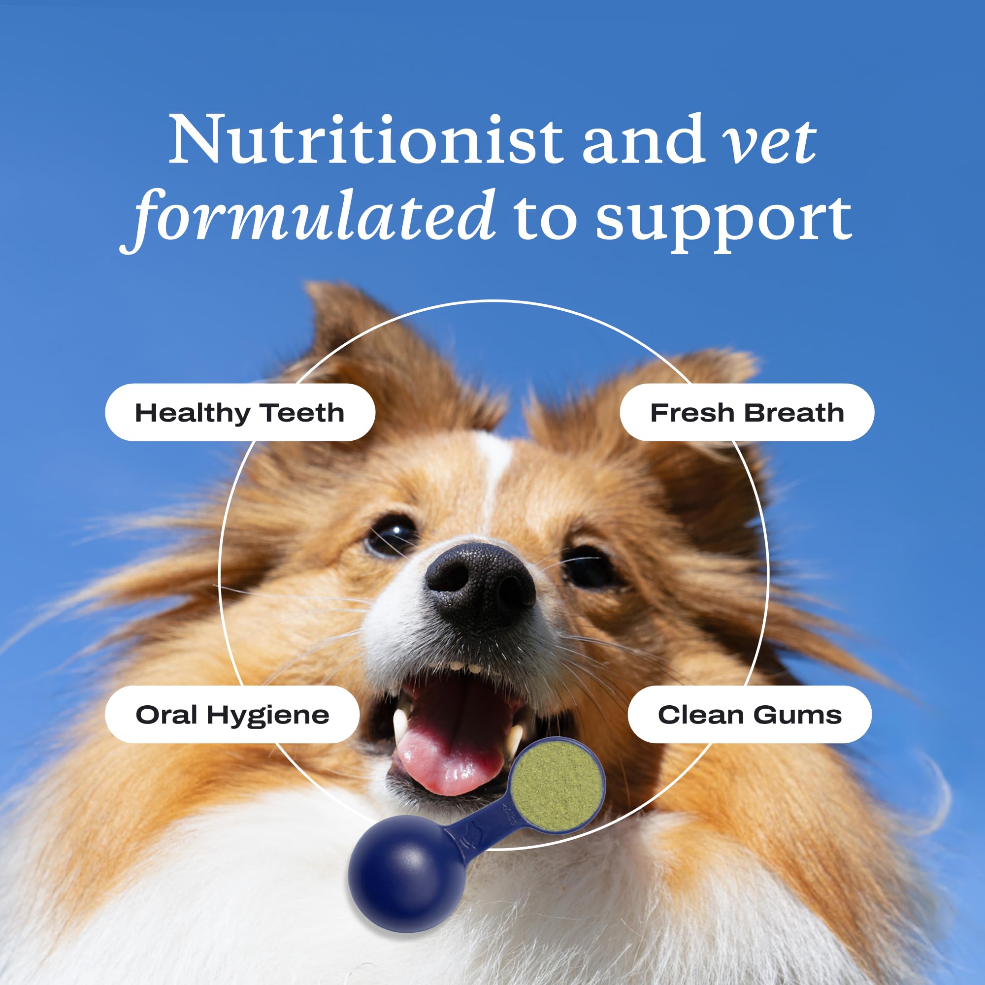 PetLab Co. ProBright incluye dosificador dual para tamaños pequeños.