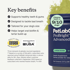 Frasco ProBright en primer plano para limpieza dental de perros grandes.