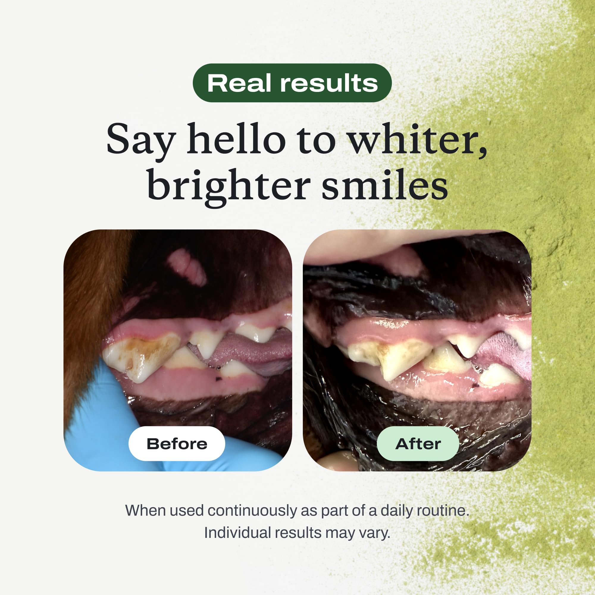 PetLab Co ProBright ingredientes seleccionados con normas de calidad.