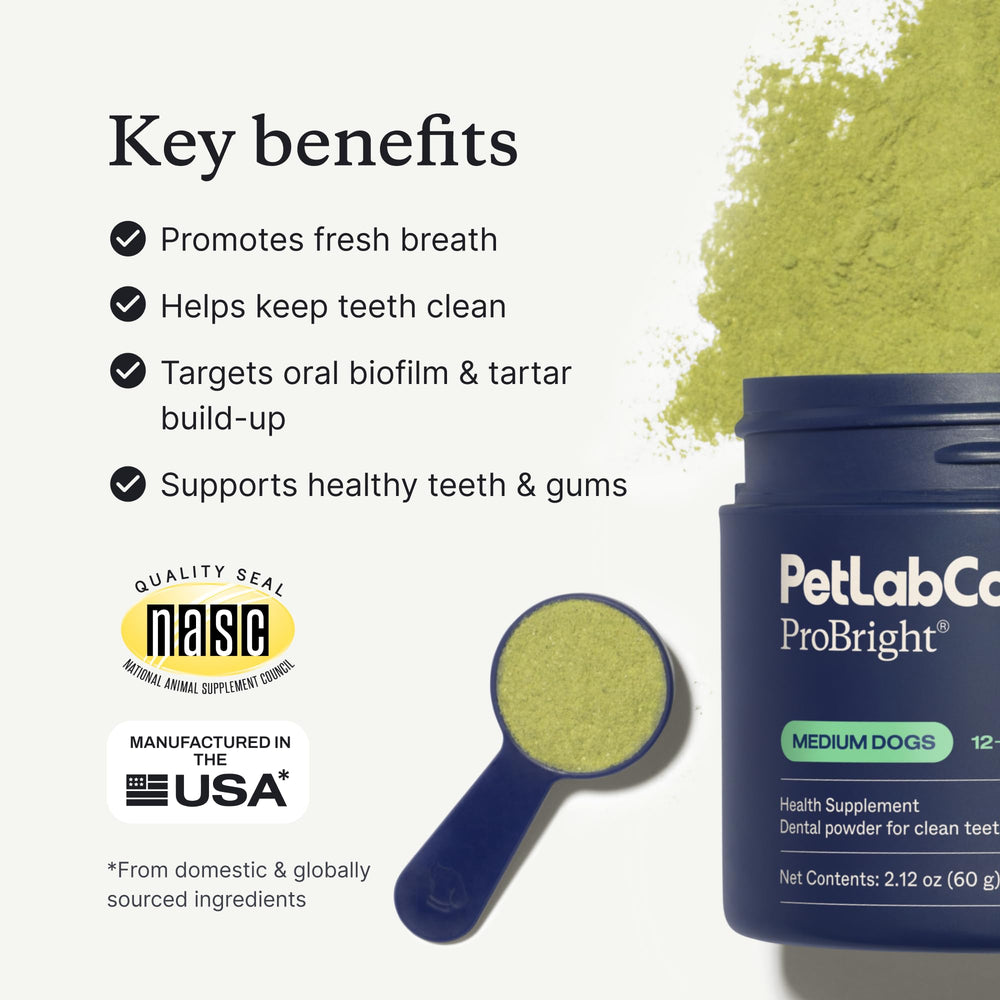 PetLab Co ProBright para perros medianos con uso sencillo.