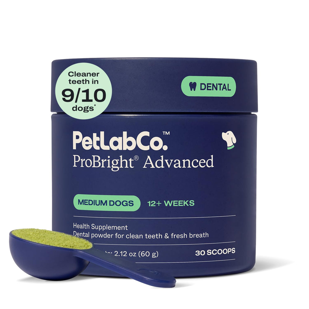 PetLab Co ProBright polvo dental en envase, limpieza suave para perros.