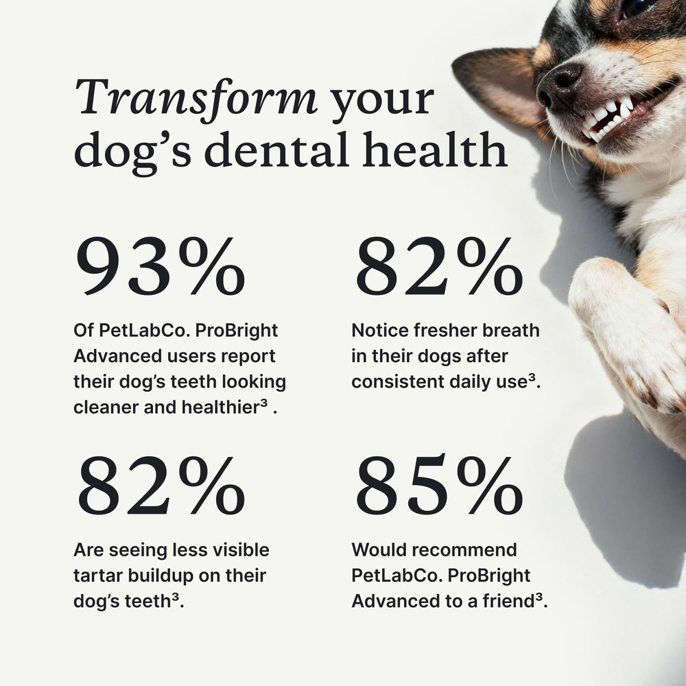 Uso diario de ProBright para una higiene dental eficiente.