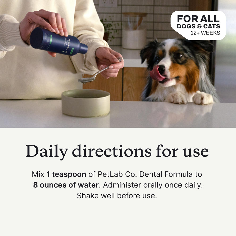 PetLab Co uso fácil sin pasta dental, cuidado dental rápido.