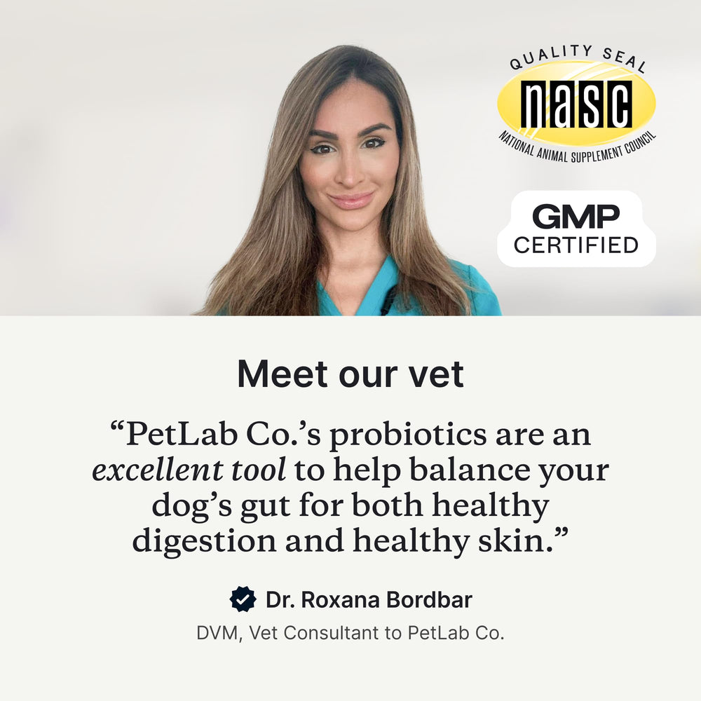 PetLab Co. con 8 cepas, apoyo al sistema digestivo de tu perro.