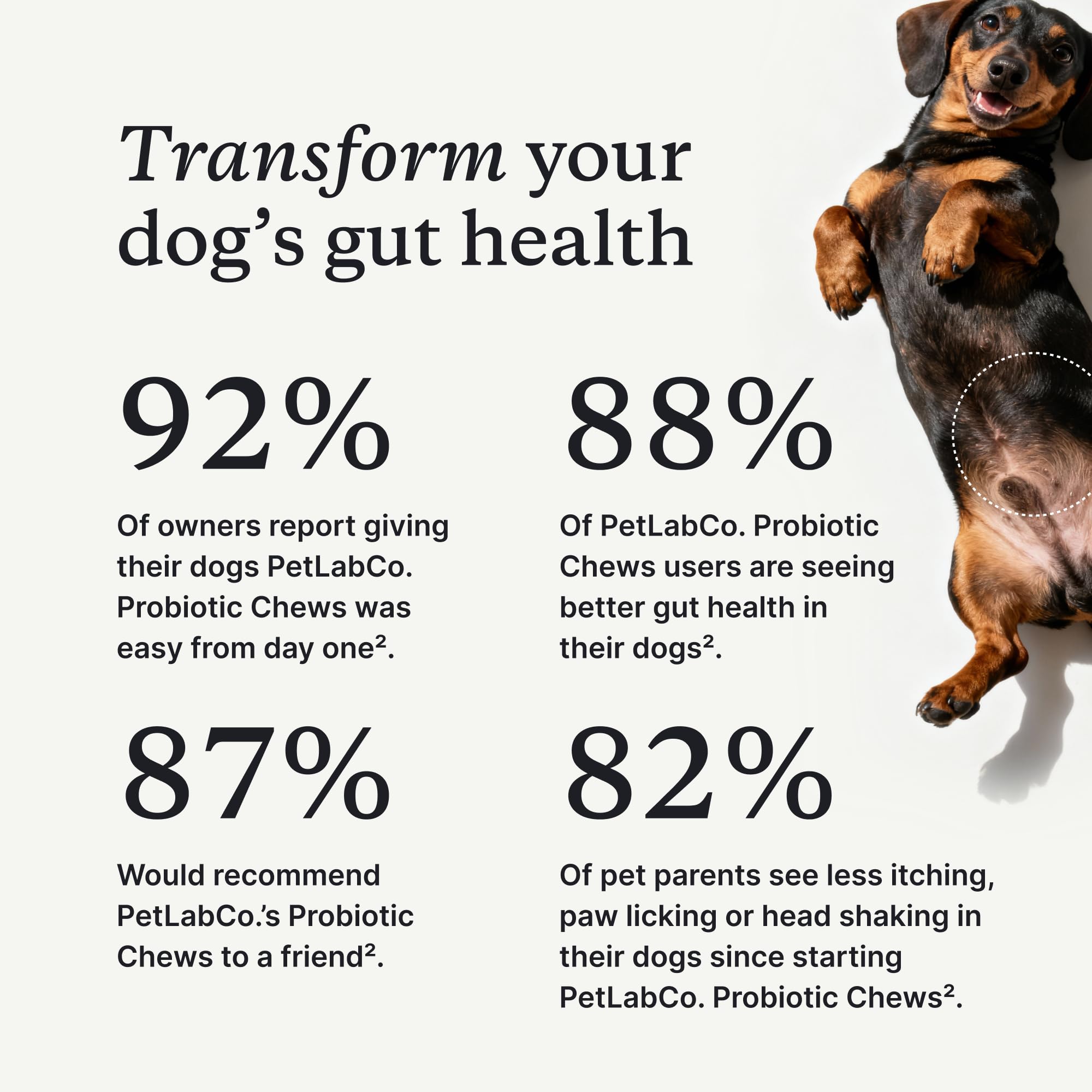 PetLab Co Probiotics con 8 cepas, beneficios para la salud intestinal