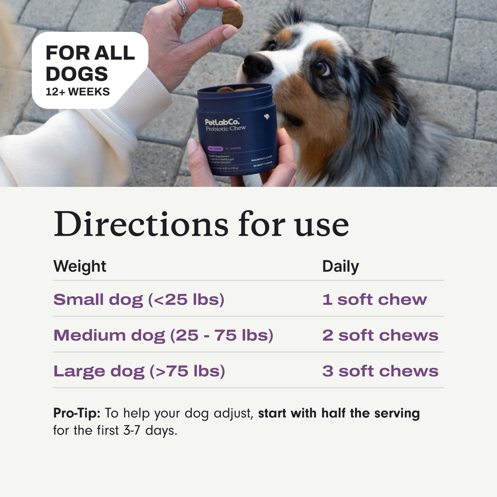 PetLab Co Probiotics uso diario para la salud digestiva de la mascota