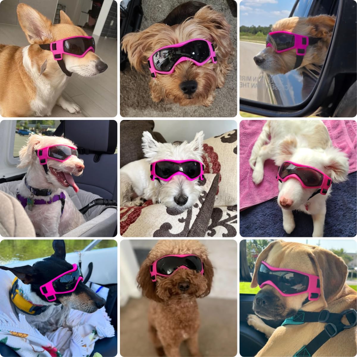 Gafas PETLESO para perro, diseño curvado que abraza el rostro, confort y ajuste.