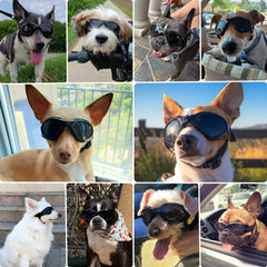 PETLESO gafas para perro mediano, vista lateral, diseño resistente y cómodo.