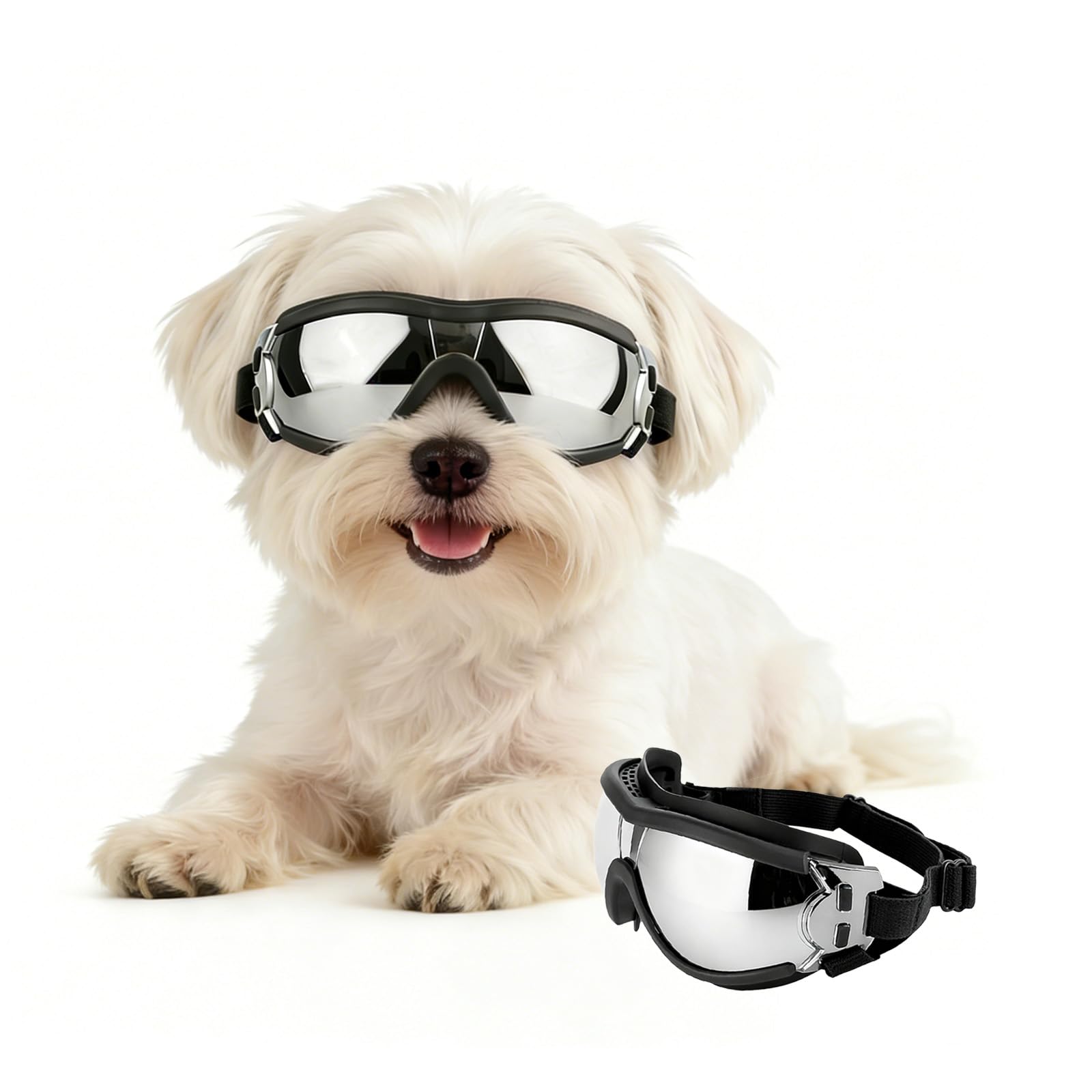 Gafas PETLESO para perros pequeños, enfoque frontal, ajuste cómodo para paseos diarios.