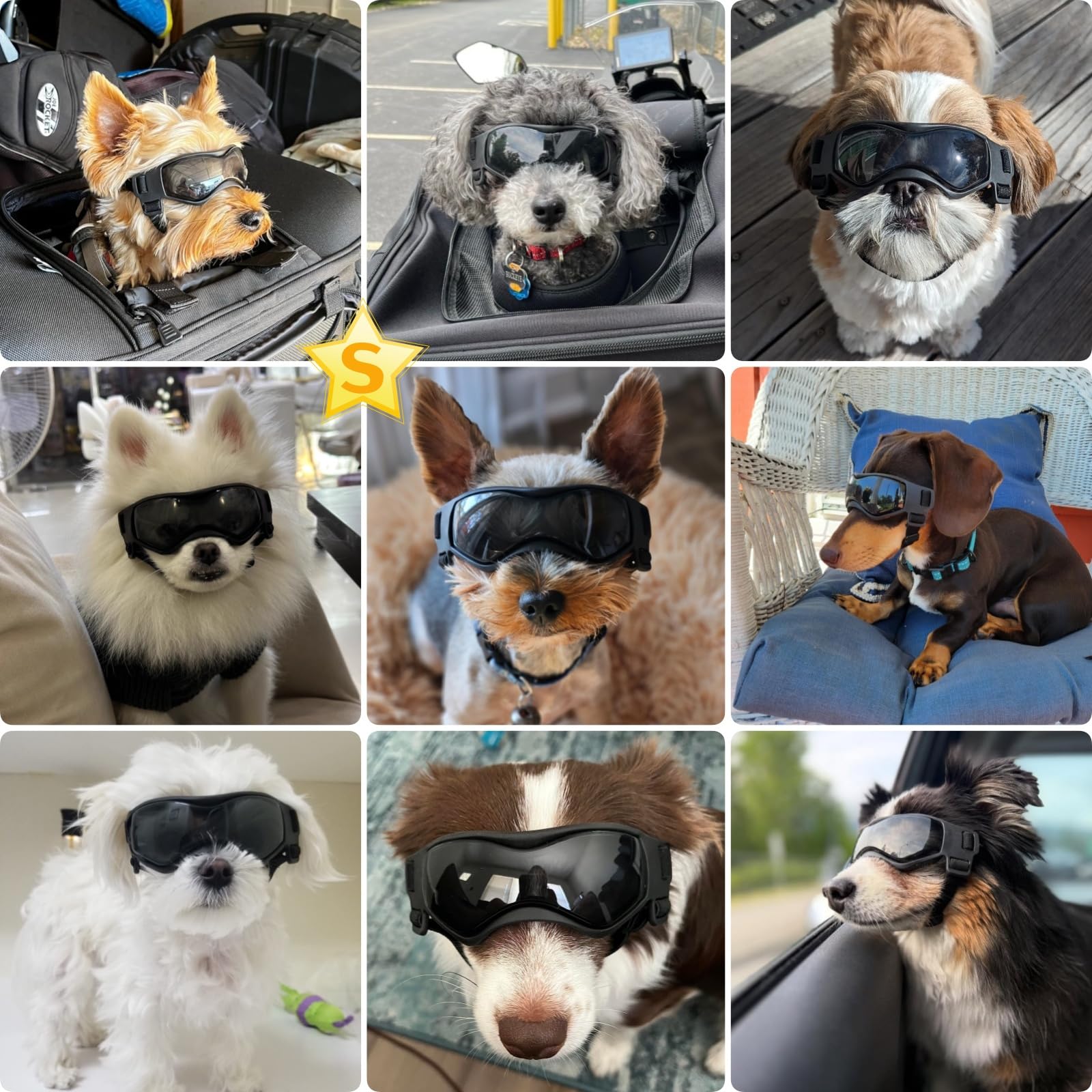 PETLESO gafas para perro tamaño pequeño, lente curva, cobertura ocular durante el viento.