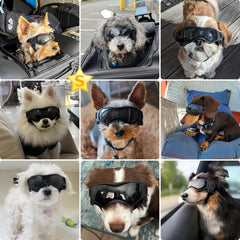 PETLESO gafas para perro tamaño pequeño, lente curva, cobertura ocular durante el viento.
