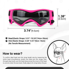 PETLESO gafas perro XS protegen UV y polvo para paseos.
