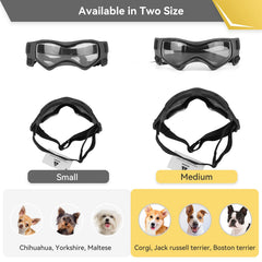Lunettes PETLESO pour chien, verres polycarbonate, protège UV et poussière.